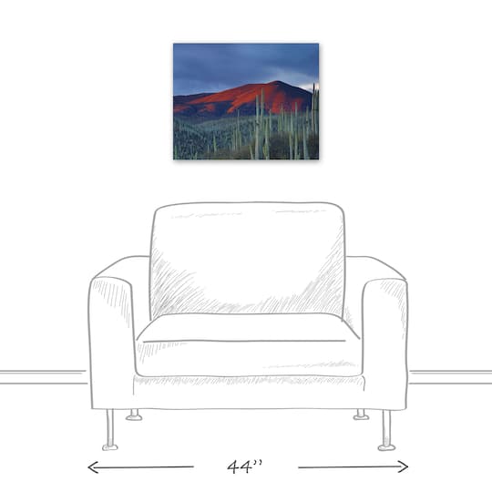Field Of Cactus 20" x 16" Canvas Wall Art